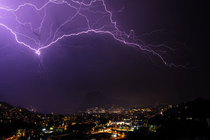 THE ELECTRIC VULTURE