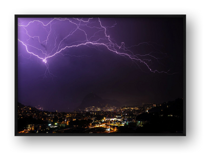 THE ELECTRIC VULTURE — framed