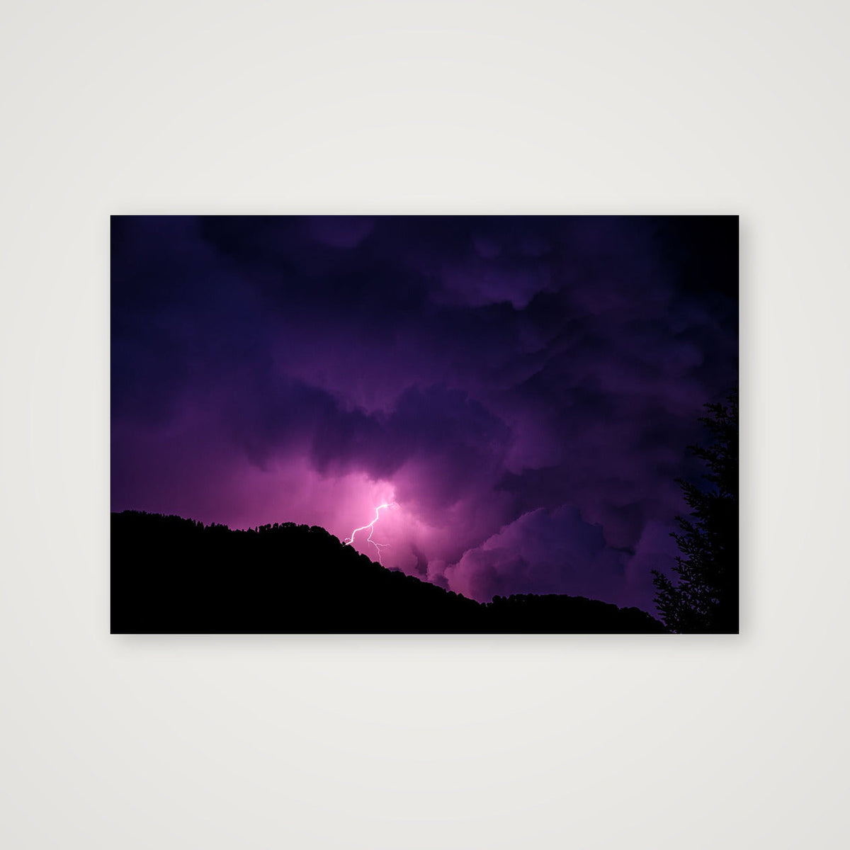 SHORTY — 60×40cm, 24×16" Print only