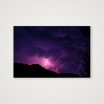 SHORTY — 60×40cm, 24×16" Print only